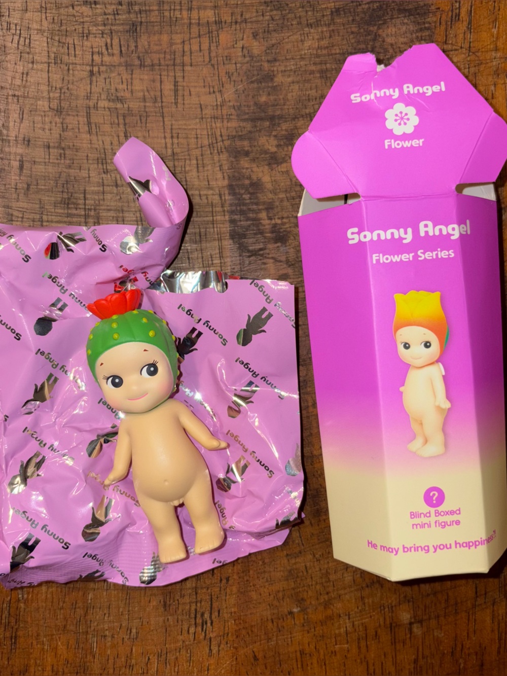 *AUTHENTIC* Sonny Angel Flower Series - Cactus